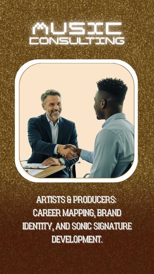 Professional music consultant reviewing a marketing plan with a client.